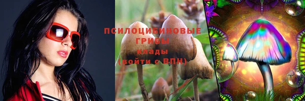 apvp Туринск