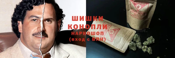 apvp Туринск