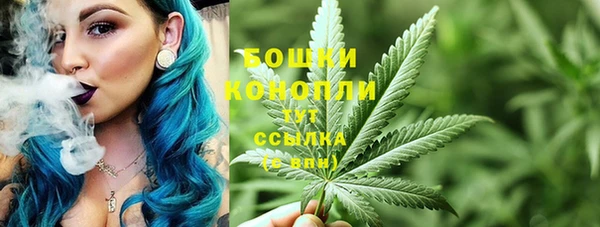 apvp Туринск
