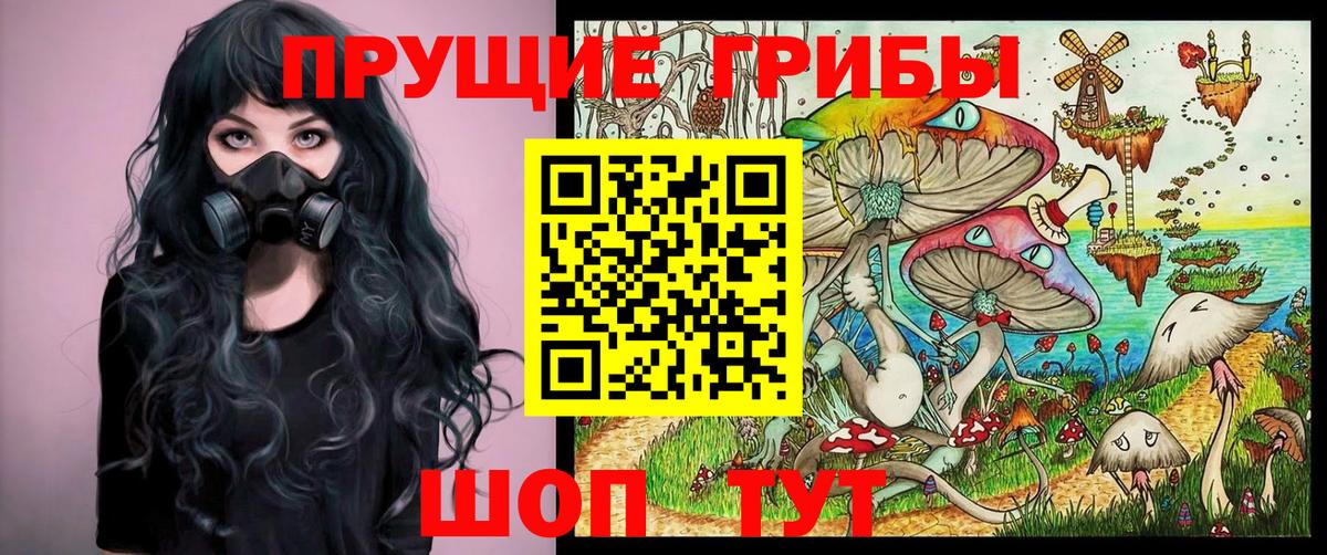 Псилоцибиновые грибы Psilocybe  Богданович 