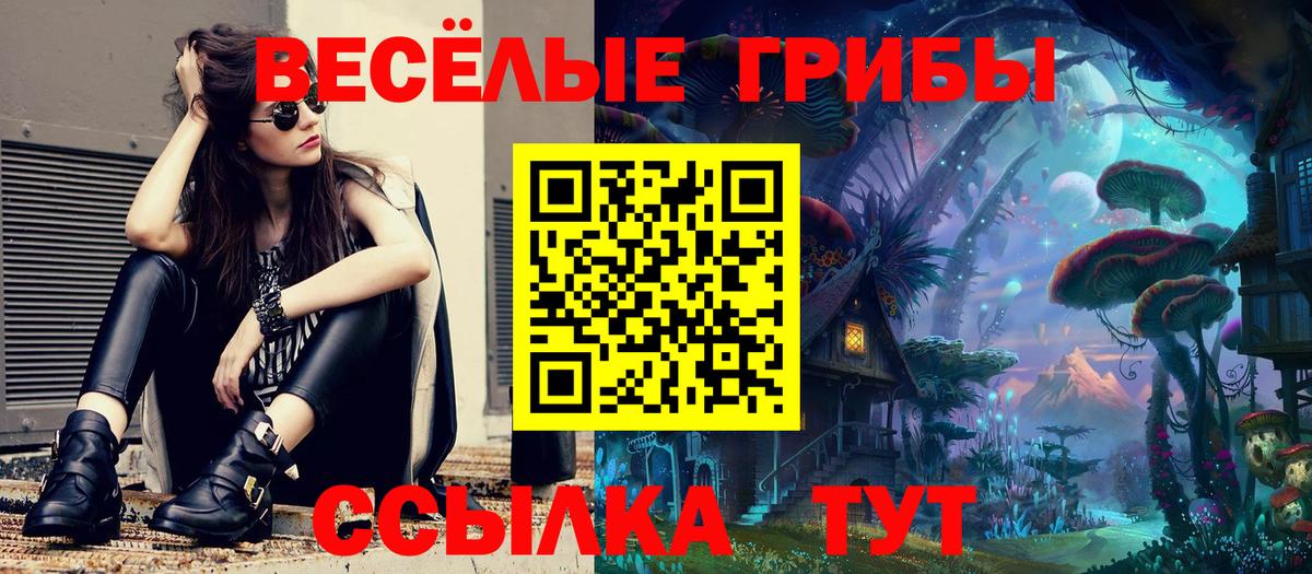 Псилоцибиновые грибы GOLDEN TEACHER Богданович