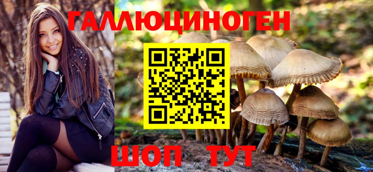 Псилоцибиновые грибы MAGIC MUSHROOMS  Псилоцибиновые грибы Psilocybe  Вход с VPN  Богданович 